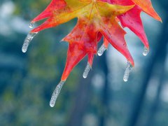 2019年十月廿五小雪前一天出殡好吗,2019小雪南方会下雪吗？