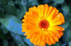 2019年阴历十一月十四开市会生意兴旺吗？