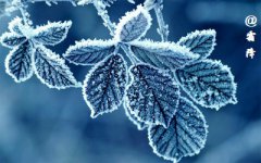 2019年10月24日霜降节气未时出生命运如何？