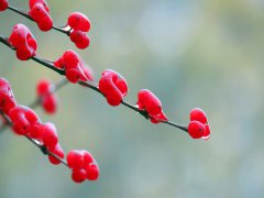 2019年十月廿五小雪前一天修坟好吗,小雪时间如何计算？