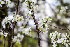 2019年农历十一月初一日子好不好,今天是不是黄道吉日？