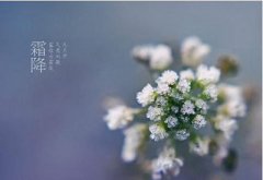 2019年霜降节气辰时出生的人喜用神是什么？