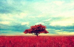 2019年农历十一月不适合开业的日子一览表！