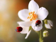 2019年阴历十月二十日子出远门好吗,开车出行注意什么？