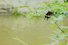 2019年农历十月结婚要避开的日子有哪些？