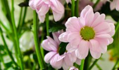 2019年农历十月十八适合出行吗,今天是出行吉日吗？