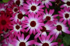 2019年农历十月十七日子适合出行吗,开车出行注意什么？