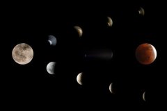 十一月二十二出生于2019年的孩子是什么星座，星座名人解读！