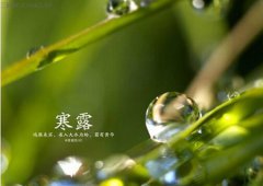 2019年10月8日寒露黄历不能做什么,寒露气温分布差异大吗？