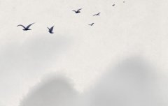 2019年立冬后一天十月十三上坟好吗,立冬一般温度几度？