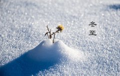 2019年农历十一月廿七日冬至节气能理发吗？日子好吗？