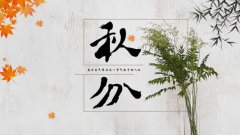 2019年秋分装修安炉灶好不好，装修餐厅格局方位讲究！