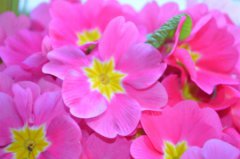 2019年农历十月初六是不是吉日,11月2日时辰吉凶查询！