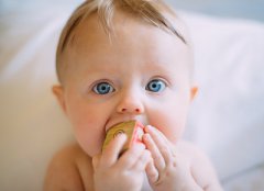 2019年农历十一月初八日出生的男孩命怎样？