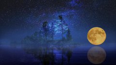 2019年阴历十一月初八出生在什么星座，上升星座是什么？