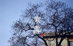 2019年10月9日寒露后一天日子好吗,乔迁吉不吉利？