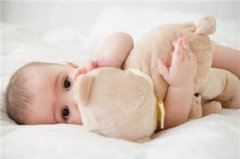 2019年十一月十五日求嗣行吗？今天怀什么时候生？