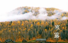 2019年10月8日寒露裁衣定亲好吗,2019年寒露冷不冷？