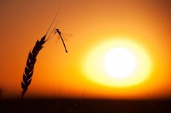 2019年秋分是在什么时辰，这天是求财纳财吉日吗？