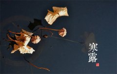 2019年九月初十寒露是祈福好日子吗,寒露有何气候特征？