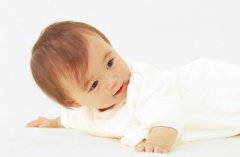 2019年农历十一月初八日求嗣行吗？预产期什么时候？