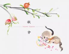 9月23日秋分2019结婚不吉利吗，婚嫁如何择吉日？