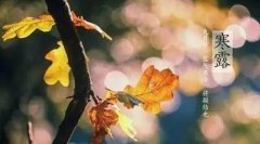 寒露节气的属相是什么，节气与生肖之间有什么关系？