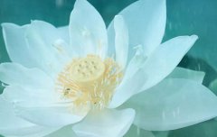 2019年10月7日寒露前一天办酒席好吗,寒露需要注意什么？