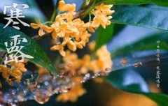 2019年九月九寒露前一天是祭祀吉日吗,寒露是什么季节？