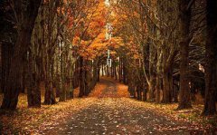 农历十月是什么属相？2019年农历十月五行缺什么？