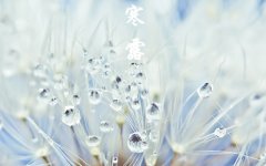 10月8日寒露节气出生的属猴人命好不好？