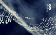 2019年寒露前一天适合结婚吗,寒露的由来是什么？