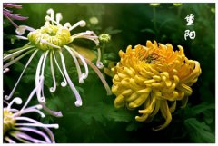 2019年农历九月九重阳节是好日子吗,重阳吃重阳糕有何寓意？