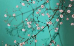 2019年10月8日寒露搬家不吉利吗,2019寒露几点几分几秒？