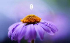 2019年农历九月初十寒露乔迁好吗,乔迁之喜送礼推荐解析！