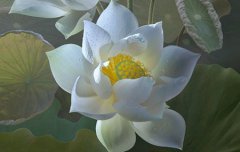 2019年寒露前一天10月7日是什么日子,寒露过后还热不热？