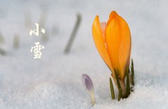 2019年农历十月廿六日小雪节气可以求嗣吗？