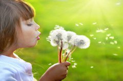 2019年农历十月初五出生的女宝宝命运如何？