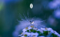 10月8日寒露节气出生的属虎人是什么样的命？