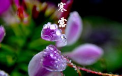 蛇年寒露节气出生的人是不是富贵命？