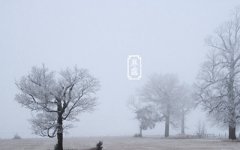 出生在寒露节气的属牛人命是不是不好？