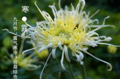 2019年寒露结婚好吗，一般婚假是多少天？