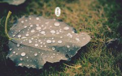 2019年寒露节气诸事不宜吗？寒露养生吃什么较好？