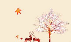 2019年秋分9月23日出生的男孩好吗，是什么星座？