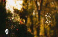 2019年秋分怀孕好吗，秋分怀孕宝宝什么时候出生？