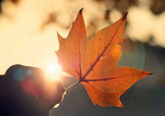 2019年秋分出生的女孩命运好吗，秋分出生八字解析