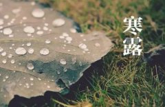 寒露2019年还要几天，“寒露脚不露”是什么意思？