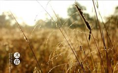 2019寒露节气可以行房求嗣吗？寒露节气有什么禁忌？