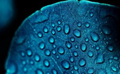 2019年寒露时间几点几分？2019年二十四节气时间表