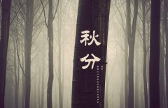 生肖属虎的人秋分节气出生命运好不好？